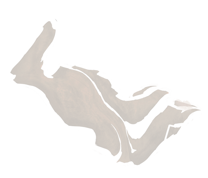 You are here