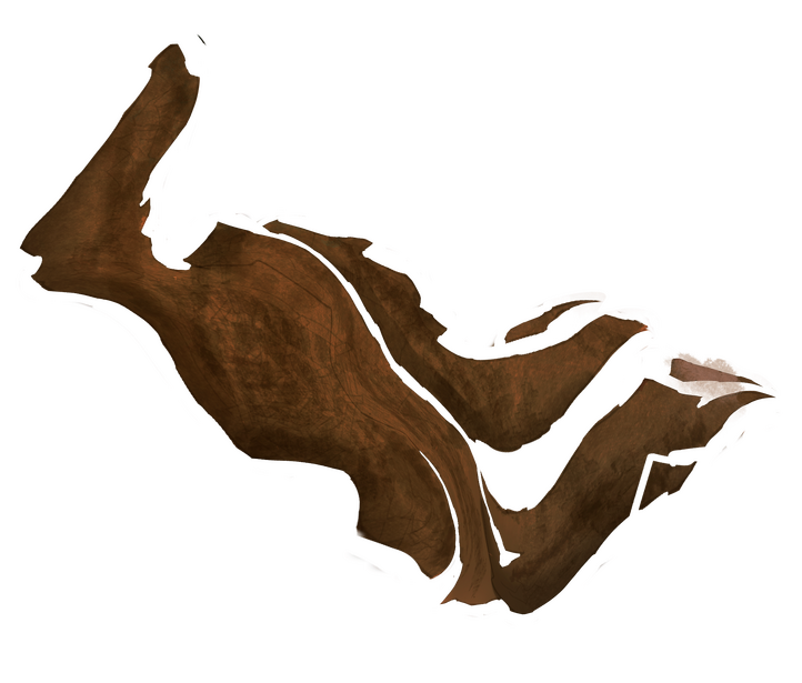 Cardinalis
