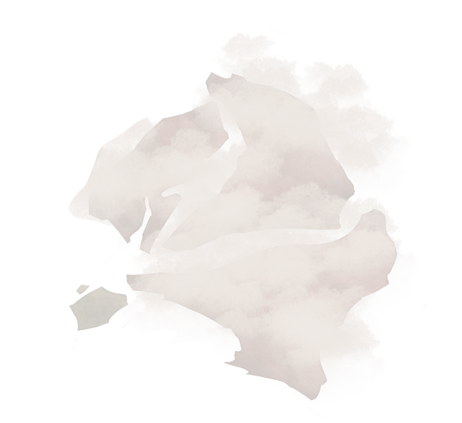 You are here